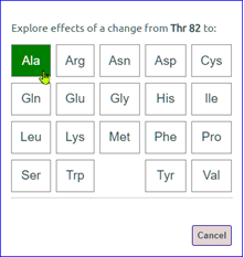 AA SELECTOR